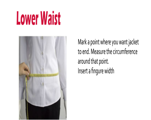 lower Waist